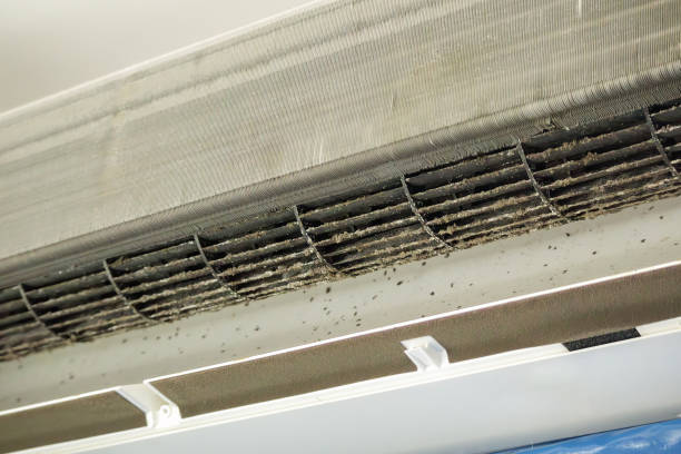 Best Affordable Duct Cleaning Services  in Aberdeen, WA